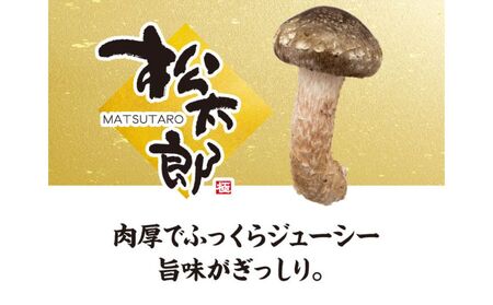 松太郎ギフト（生詰め合わせ）【夏季冷蔵便対応】