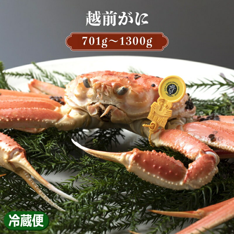【ふるさと納税】《サイズが選べる》越前がに×1杯（茹で前重量：約701g〜1300g迄）【2025年11月1日～1月下旬にて順次発送予定】【※12月上旬から翌年1月上旬までは発送を控えさせていただきます。予めご了承願います。】【雄 ズワイガニ ずわいがに 姿 かに 蟹 先行予約 】