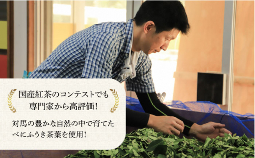 対馬 紅茶 Aセット《対馬市》【つしま大石農園】和紅茶 ティーバッグ 茶葉 詰め合わせ [WBE004]