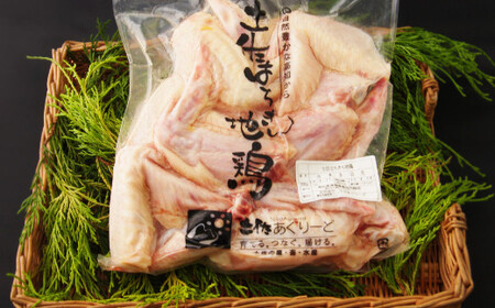 手羽先 1kg 地鶏 鶏肉 もも肉 骨付き 手羽先 冷凍手羽先 手羽先から揚げ ag002