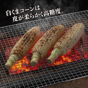 【先行予約】象もろこし（白くまコーン）大きいサイズのトウモロコシ　450ｇ以上8本入り (2026年8月下旬から発送開始予定) | _01413
