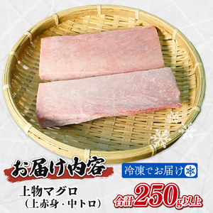 まぐろ 赤身 中とろ 2種 250g 以上 まぐろまぐろまぐろまぐろまぐろ