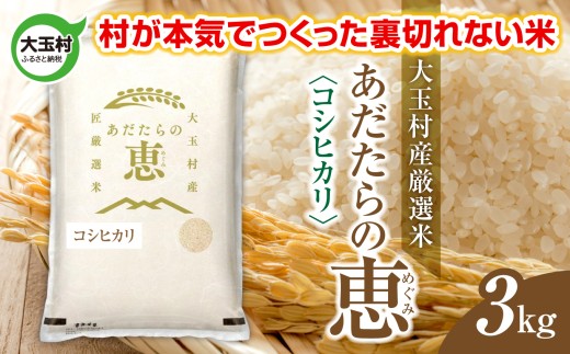 米 大玉村産厳選米「あだたらの恵」（品種：コシヒカリ） 3kg 《 令和7年産  》｜ 福島 大玉村 お米 米作り こしひかり 令和7年 精米 白米 こめ コメ ご飯 送料無料 大玉村農業振興公社 ｜ on-ak-3kg-r7