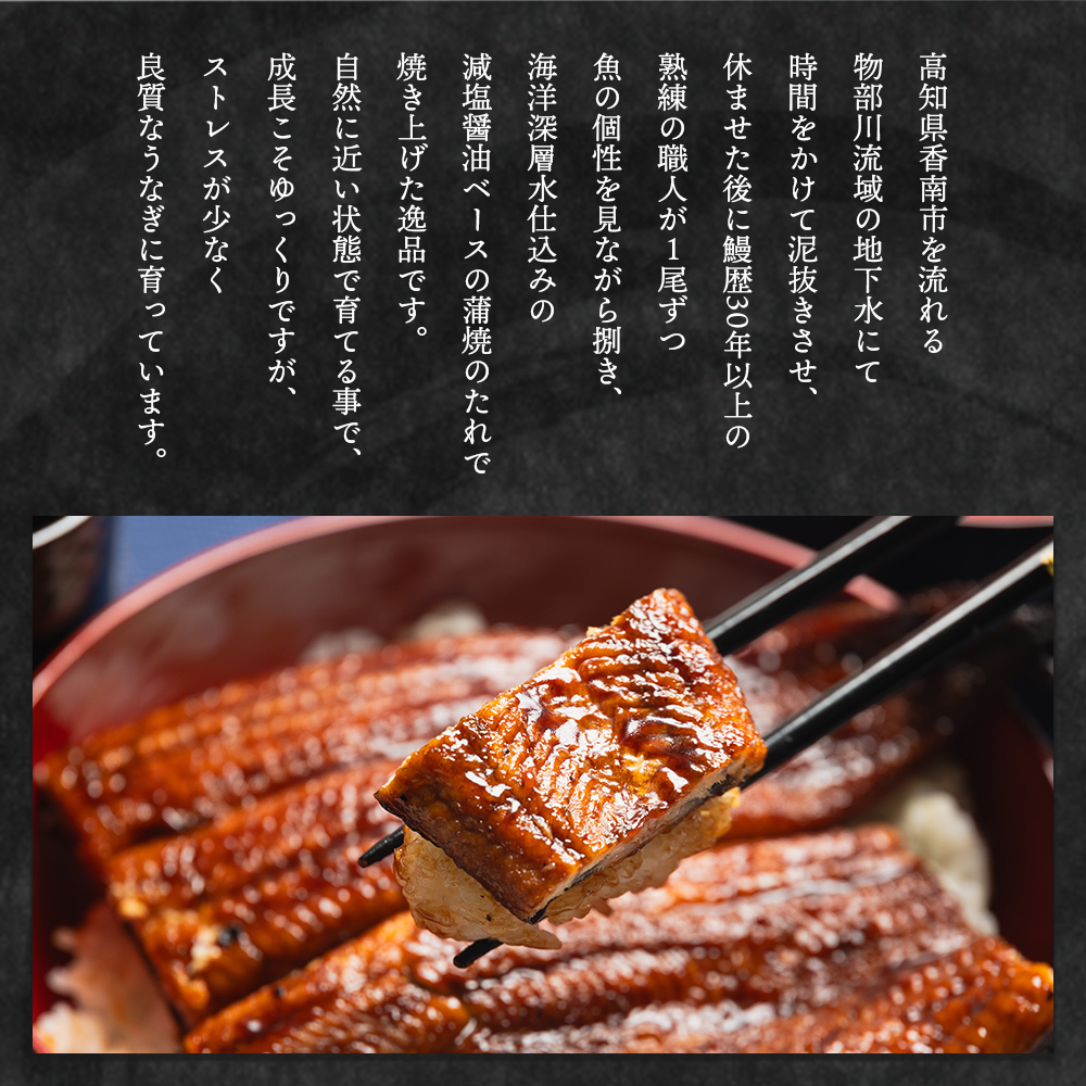 【国産】 うなぎ ２尾 【フジ物産株式会社高知支店（高知県香南市）】 [fb-0139]