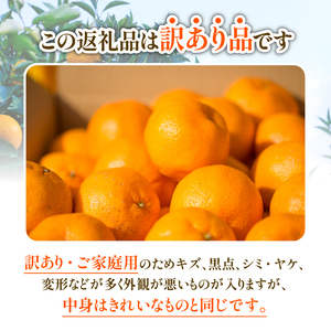 【先行受付】訳あり ポンカン 3kg【発送時期 1月中旬~2月中旬】 ぽんかん みかん 蜜柑 柑橘 冬 清家ばんかんビレッジ 愛媛 愛南