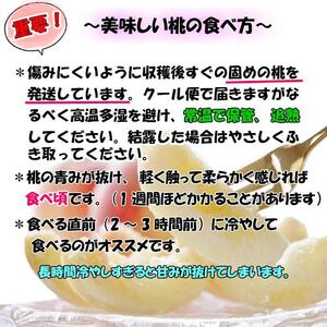 【秀品】和歌山ブランド白桃 約2kg！2024年 7月発送分