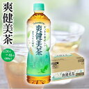 【ふるさと納税】コカ・コーラ 爽健美茶 600ml 選べる本数 24本 or 48本 | コカコーラ 茶 お茶 おちゃ ペットボトル PET 飲料 飲み物 ドリンク 人気 おすすめ 送料無料 お取り寄せ そうけんびちゃ 和歌山県 海南市