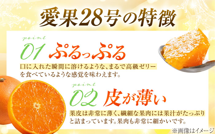 みかん 訳あり 愛果28号 約3kg サイズ不揃い【11月下旬から12月下旬まで順次発送】 / フルーツ 果物 蜜柑 ミカン オレンジ 訳あり 訳アリ 小玉 甘い 先行予約 3kg 愛媛 / 愛媛県砥