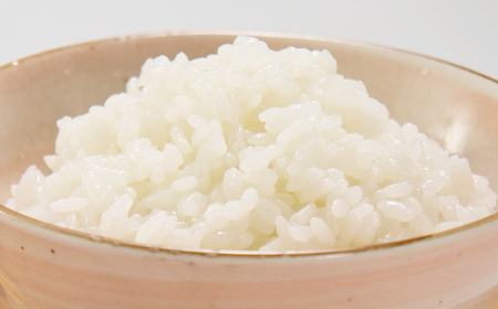 パックライス専用ブレンド 秋田米100%のご飯(パックライス) 180g10パック×4袋セット【配送不可地域：離島・沖縄県】【1524237】