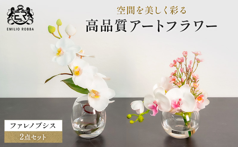 エミリオロバ　ファレノプシス2点セット