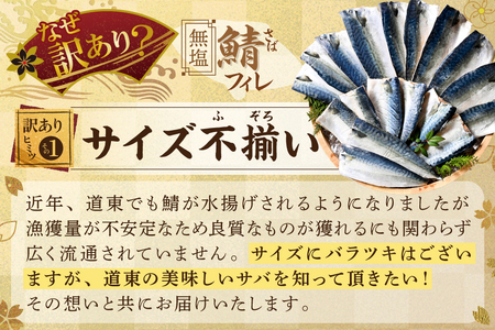 無塩 サバ フィレ 訳あり  2kg （ 訳あり サバ 訳あり さば 訳あり 鯖 サバ フィレ サバ フィーレ  サバ 切り身 サバ 切身）