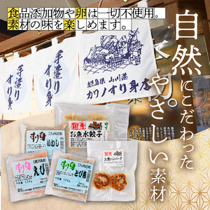 お魚ハンバーグ･お魚水餃子セット カワノすり身店 IB062-005 惣菜 惣菜