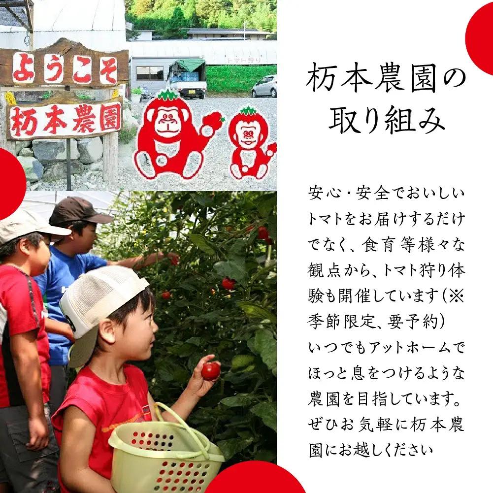 産地直送！杤本農園　フルーツトマトジュース（720ml×6本入り）華小町 トマトジュース【45-2】