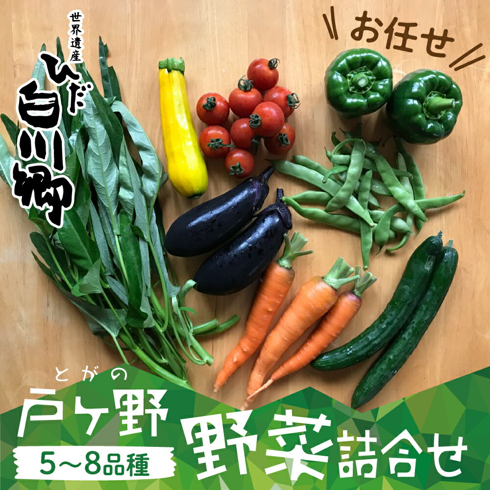 【ふるさと納税】【数量限定】先行予約 戸ヶ野の野菜セット 5〜8種 白川村 白川郷 野菜 品種 お任せ 詰め合わせ 夏野菜 旬 戸ヶ野野菜詰め合わせ　5〜8種セット トマト なす ピーマン ズッキーニ じゃがいも ごぼう 人参 など 大田ファーム 2024年8月〜順次発送 [S695]