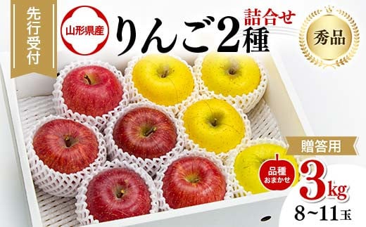 FYN9-966 ≪先行予約≫ 贈答用 2024年 山形県産 りんご 品種おまかせ 2種詰合せ 秀品 3kg（8～11玉）2024年10月中旬から順次発送 2色 赤・黄 食べ比べ セット フルーツ 果物 りんご リンゴ 山形県 西川町 月山