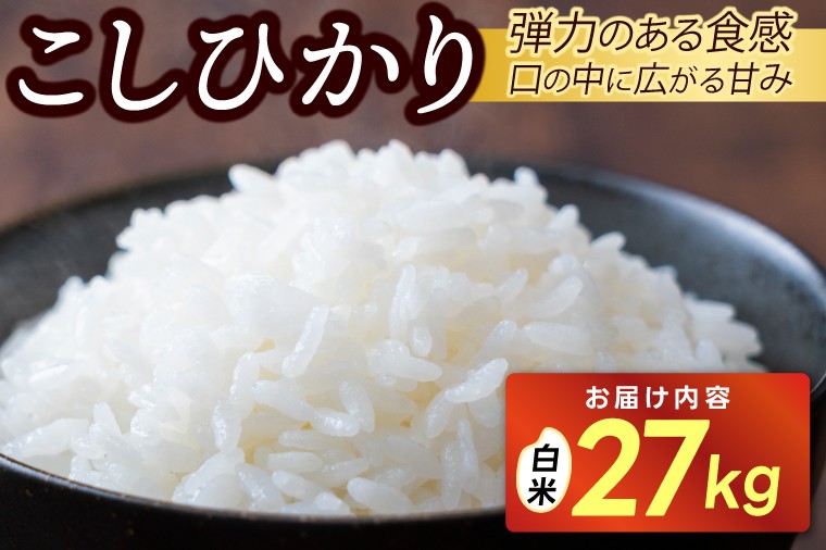 
                  【先行予約・9月中旬より順次発送】★令和8年産★山﨑観光農園のお米　コシヒカリ　白米27kg｜栃木県 益子町 ふるさと納税 お米 大容量 米 白米 精米 約27kg　（AU043）
                