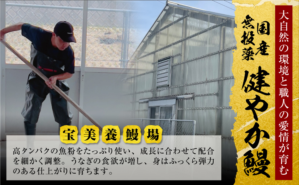 健やか鰻 国産うなぎ蒲焼（無頭）6尾（計840g以上） 6尾 :29,500円