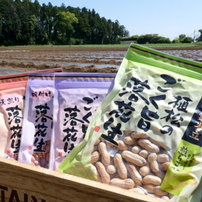 千葉特産　高級品種[千葉半立]植松のごく旨落花生　4種詰め合わせセット【配送不可地域：離島・沖縄】【1424512】