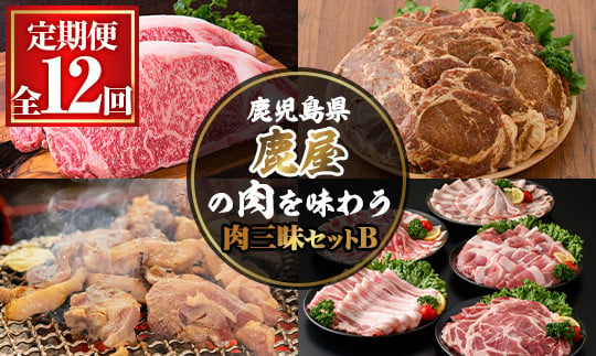 
8003 【定期便12回】鹿屋の肉を味わう 肉三昧セットＢ【定期便 お楽しみ 焼鳥 黒豚 餃子 豚ロース 赤身 豚肉 黒牛 すき焼き ハム ソーセージ とんかつ しゃぶしゃぶ】
