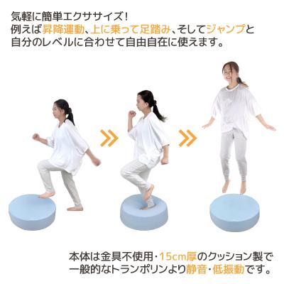 ふるさと納税 蒲郡市 天使のトランポリン クッション _ベビーブルー【G0318】 |  | 01