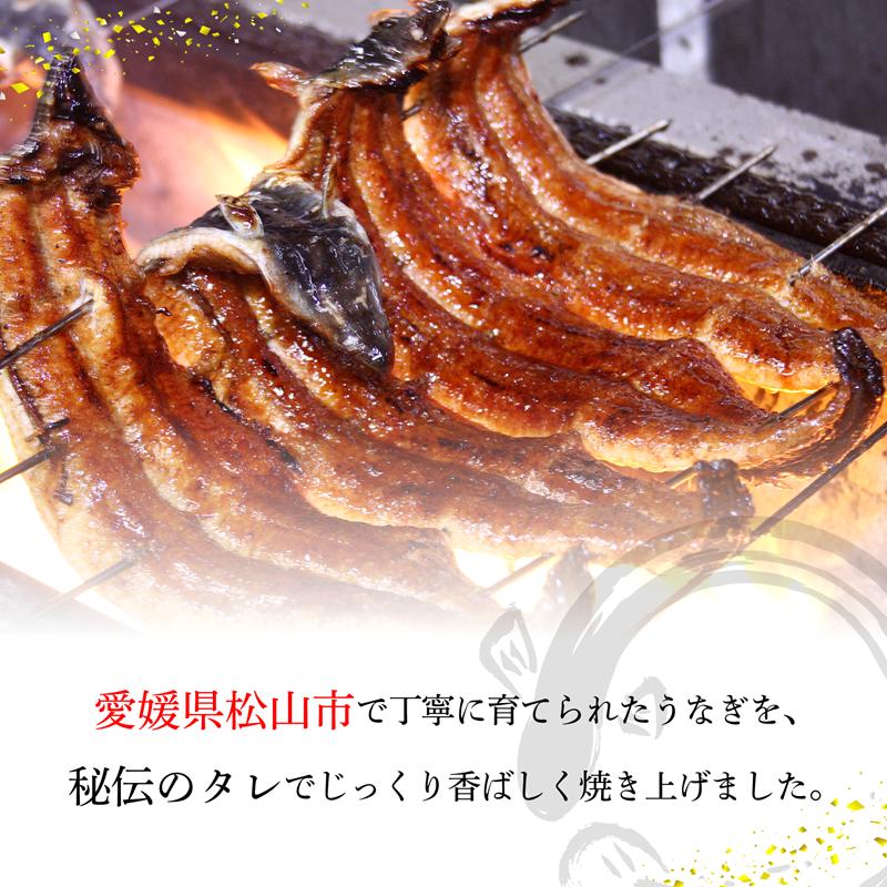 【父の日ギフト対応可】【6月19日にお届け！】〈うなぎ屋かわすい〉愛媛県松山市養殖うなぎを使用！うなぎ蒲焼 2本 (1尾：150〜169g) ｜うなぎ ウナギ 鰻 蒲焼き 国産 お取り寄せ グルメ ふ