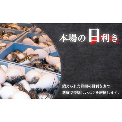 ふるさと納税 下関市 国産 天然 とらふぐ ロイヤルセット 3人前 ふぐ松前 付き 冷蔵 KA00R3B |  | 01
