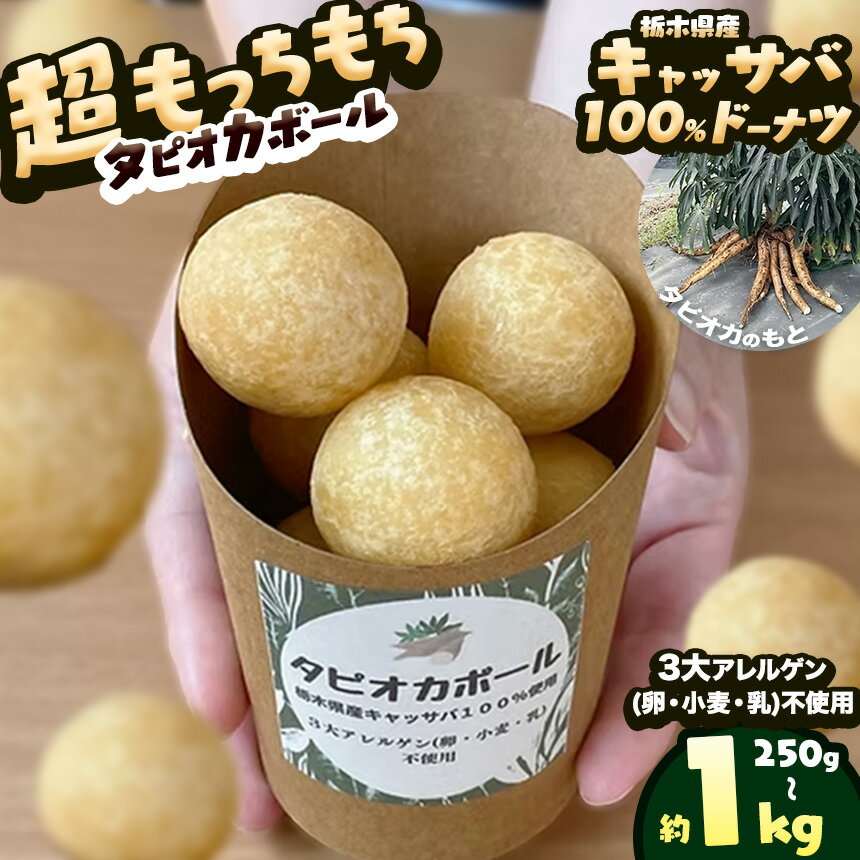 【ふるさと納税】タピオカ ボール 国産キャッサバ 100% 使用 ドーナッツ スイーツ おやつ 250g ~ 1kg | 超もっちもち 食感 グルテンフリー 栃木県 矢板市