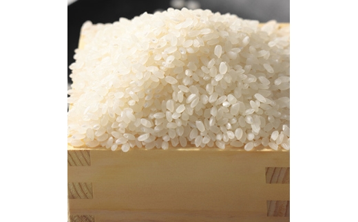 ＜毎月定期便＞ミルキープリンセス 白米 10kg(5kg×2袋)全6回【4093545】