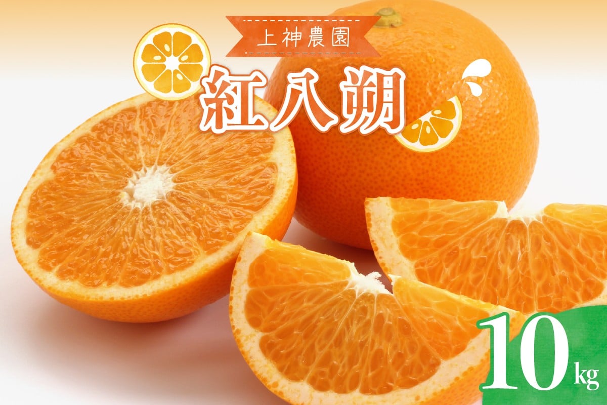 
            上神農園の紅八朔 約10kg
          