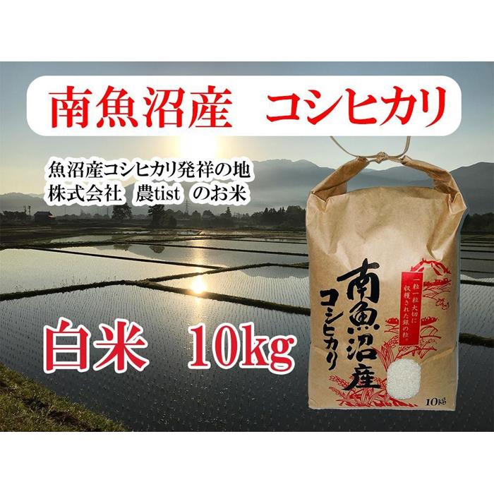 【ふるさと納税】【令和7年産】【南魚沼産】コシヒカリ 白米10kg【2025年9月中旬より順次発送予定】 | お米 こめ 白米 食品 人気 おすすめ 送料無料