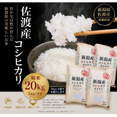 ふるさと納税 佐渡市 佐渡産コシヒカリ 5kg×4袋セット