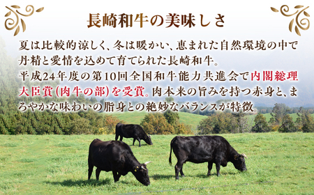 【全6回定期便】長崎和牛 ヒレ ステーキ 約180g×2枚 肉 牛肉 【肉の牛長】[RCJ008]