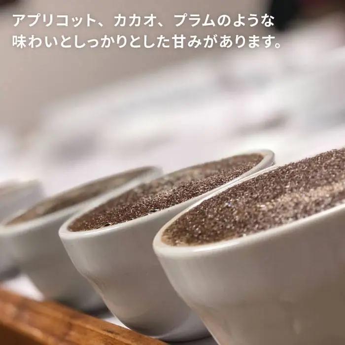中煎り コーヒー 豆 250g × 2袋 （ 豆 ・ 粉 選べます ） エルポルベニール農園 パカマラ種 ナチュラル 《糸島》 【COFFEE UNIDOS】 [AQF004]