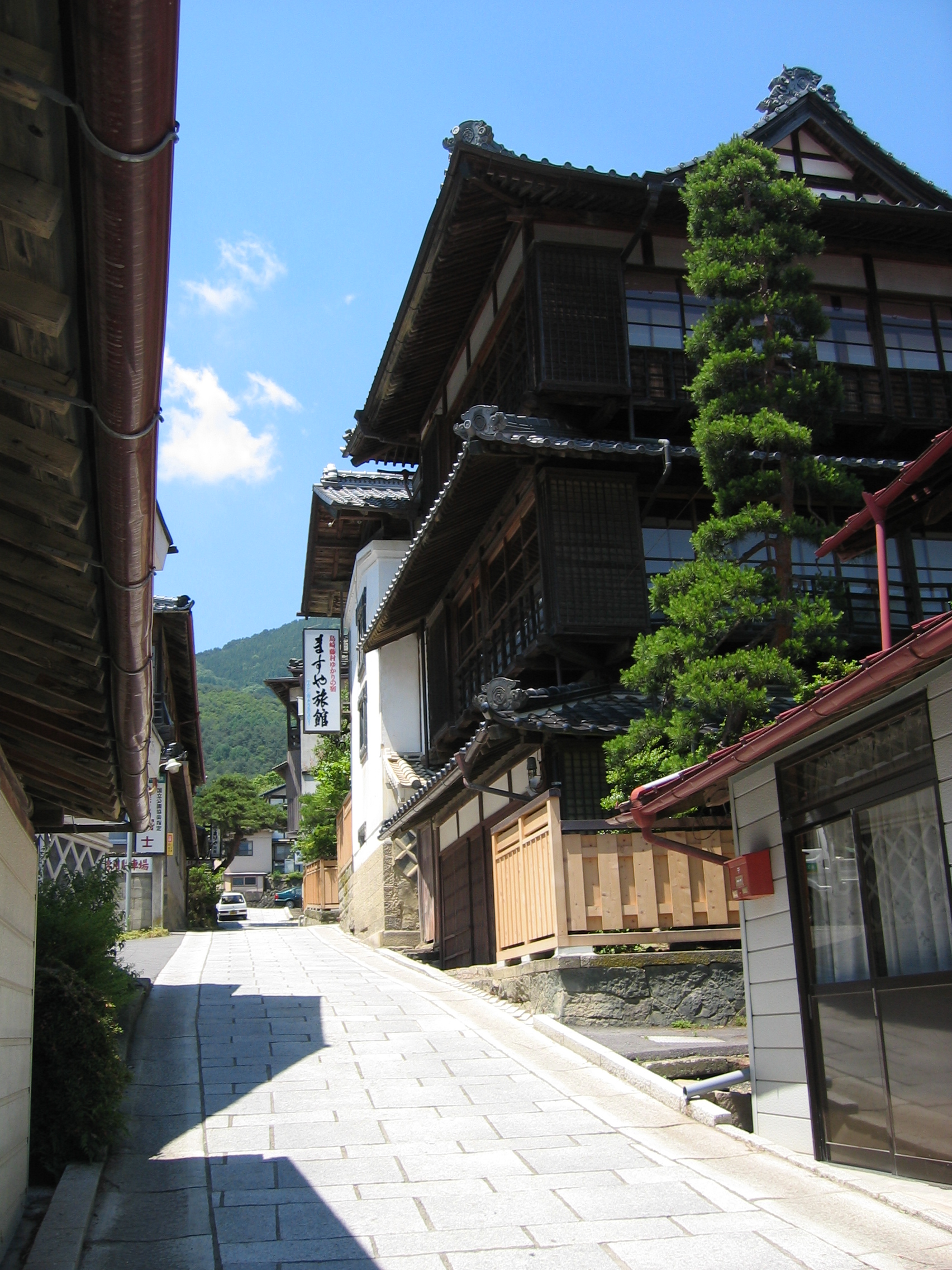 信州田沢温泉 ますや旅館 宿泊券（平日スタンダード1泊2食付き・1名様分） 