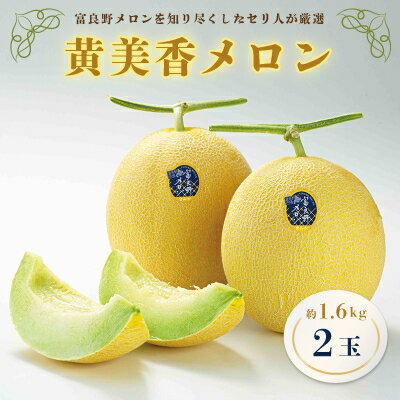 【ふるさと納税】【2025年発送】黄美香メロン(青肉)1.6kg×2玉_ メロン めろん 富良野メロン 青肉メロン 富良野 ふらの 北海道 黄美香 さわやか 青肉 希少 2玉 フルーツ くだもの 果物 デザート 贈答 ギフト プレゼント 常温 送料無料 【配送不可地域：離島】【1296166】