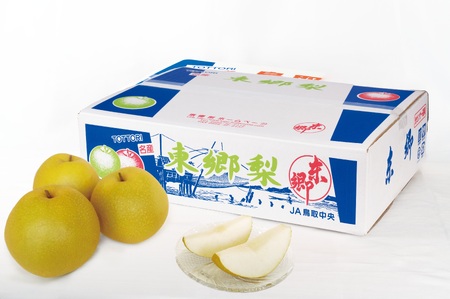 【2026年先行受付】梨 王秋 おうしゅう 5kg 鳥取県産  | 12MS