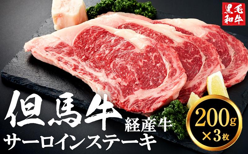 
            但馬牛経産牛「サーロインステーキ」200ｇ×3枚 020AA02N.／黒毛和牛 ステーキ肉 いちかわ精肉店 経産牛 牛肉 肉 お肉 国産 bbq バーベキュー 焼肉 ステーキ サーロイン 赤身 肉 冷凍 焼き肉用
          