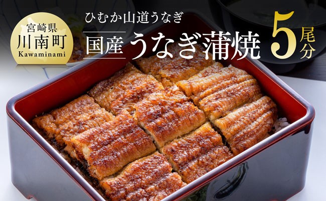 名店の味 宮崎県産うなぎ蒲焼 5尾(ウナギ650g以上) 国産 鰻 蒲焼き