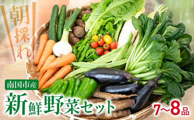 
                  朝採れ新鮮！野菜セット(7～8品) | 野菜セット 新鮮 野菜 人気 季節の野菜 数量限定 おすすめ 高知県 南国市
                