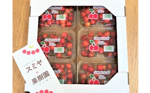 さくらんぼ（佐藤錦）１.２ｋｇ　ご家庭用　0047-2507