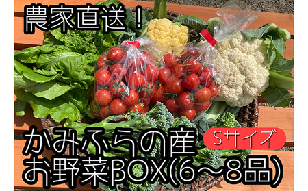 【2025年8月上旬頃から発送】農家直送！ミニトマト500g入り！朝採れ野菜詰め合わせボックスS（6～8品入り）