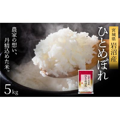 ふるさと納税 岩沼市 令和7年産 ひとめぼれ 5kg 米 コメ 精米 宮城県 岩沼市[No.5704-1207] |  | 01