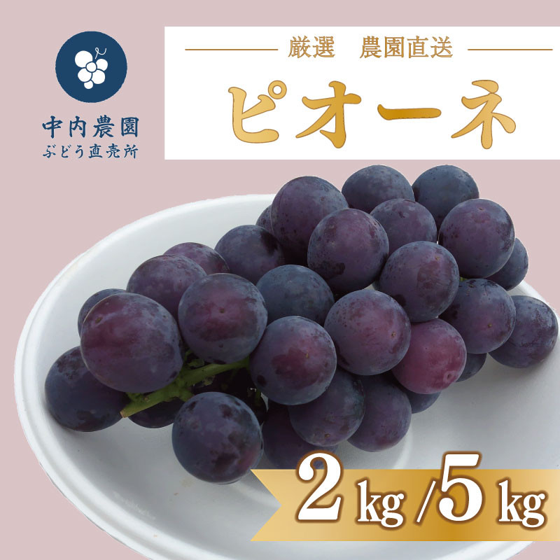 
【 先行予約 】 ピオーネ 2kg / 5kg 《 2024年 8月 下旬 ～ 順次発送 》フルーツ ぶどう 葡萄 期間限定 旬 産地直送 農家直送 産直 贈答 家庭用 ギフト 中内農園 ぶどう 直売所 徳島県 阿波市
