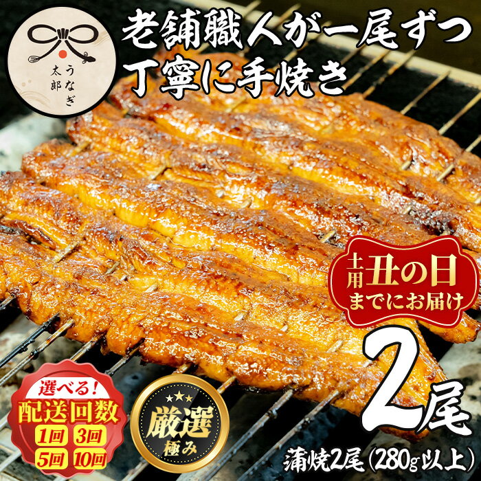 【ふるさと納税】鹿児島県産東串良町のうなぎ蒲焼・秘伝のタレ付き＜2尾・計280g以上/2尾・計280g以上×3回/2尾・計280g以上×5回/2尾・計280g以上×10回＞ うなぎ 高級 ウナギ 鰻 国産 蒲焼 蒲焼き 鰻の蒲焼 タレ たれ 鹿児島 鹿児島県産 定期便【うなぎ太郎】