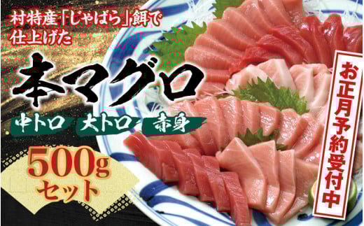 本マグロ（養殖）トロ＆赤身セット 500g　【年末発送（12月25日～29日発送）】【配達日指定不可】【nks110D-sg】