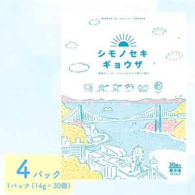 ふるさと納税 下関市 シモノセキギョウザ 120個 30個×4パック 冷凍 小分け 日指定可 ぎょうざ IB009-y