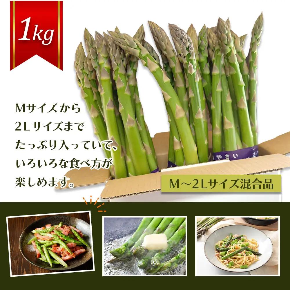 【先行受付】のみやまファームのグリーンアスパラガス（Ｍ～２L以上）1kg【05004】