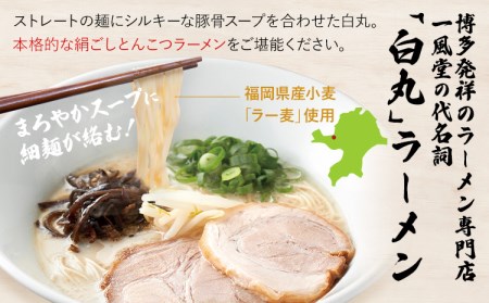 豚骨ラーメン 一風堂 8食 ラーメン