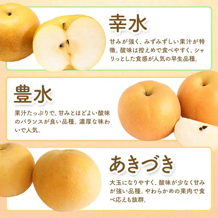 梨 5kg 品種・サイズおまかせ【配送不可地域あり】(沖縄・離島)