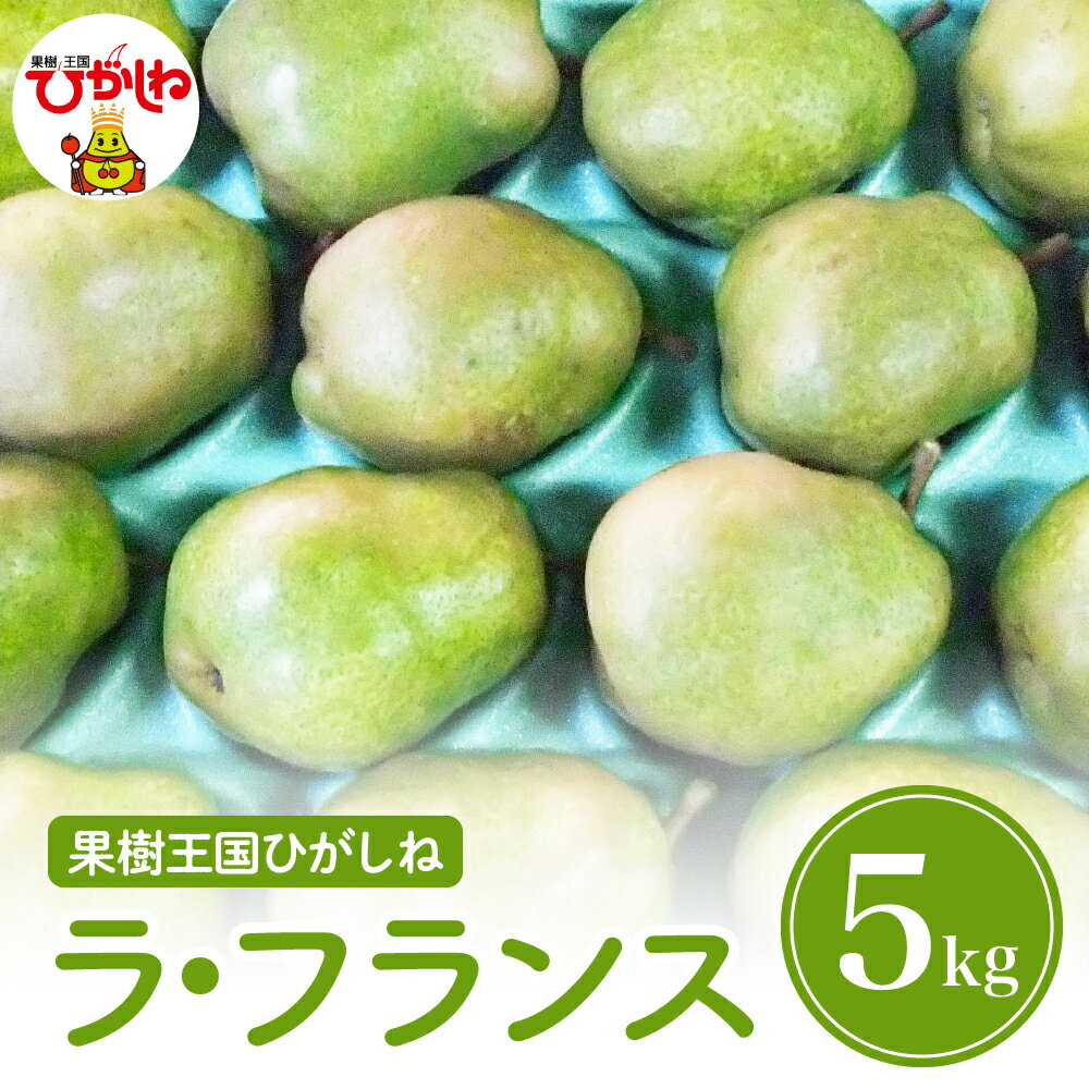 【ふるさと納税】 2025年産 洋梨「 ラ・フランス 」 5kg / 洋なし 洋梨 洋ナシ 西洋梨 ラフランス フルーツ 果物 くだもの お取り寄せ グルメ ご当地 特産 産地 直送 農家直送 産地直送 山形県 東根市